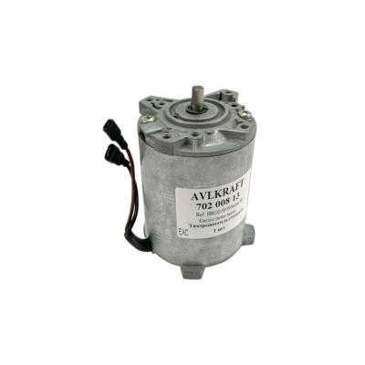 Электродвигатель отопителя Webasto DBW2020/300/350/Sensoric/470
